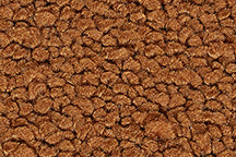 Two-Piece Molded Loop Carpet for 1970-73 Camaro Auto with Tail